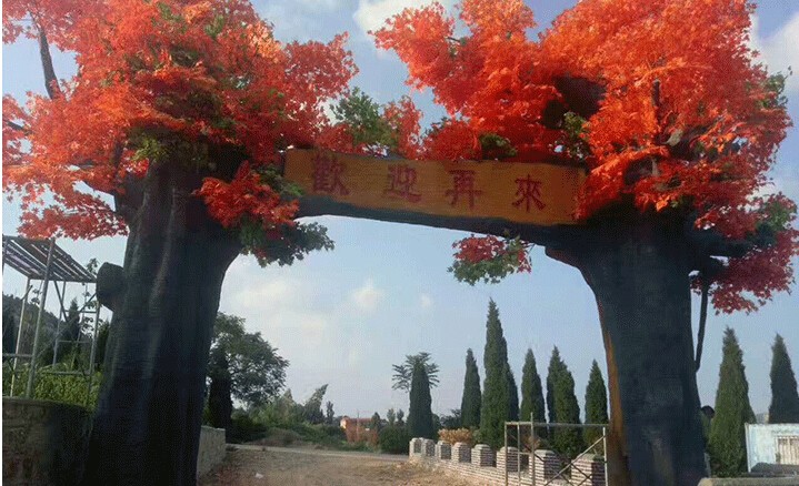 QQ截图20180423201155.jpg